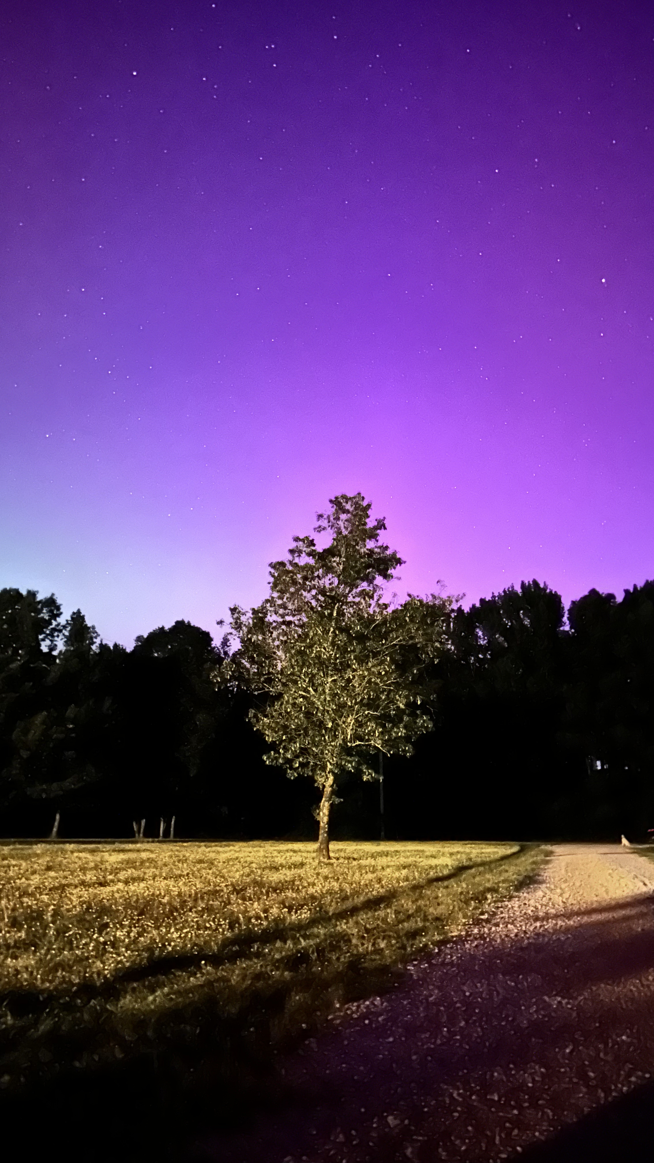 A Quiet Midnight cover